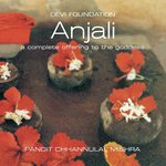 Anjali - Channulal Mishra Song Download